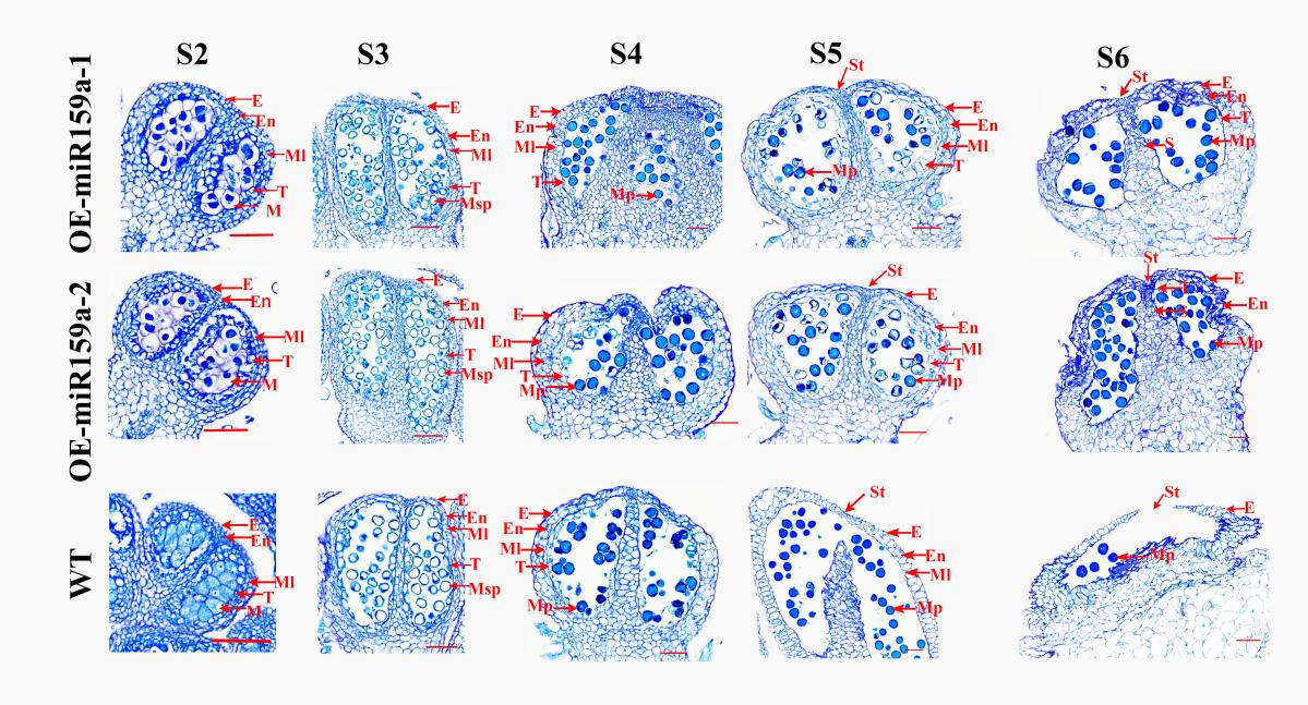 Fig 2 0312-2