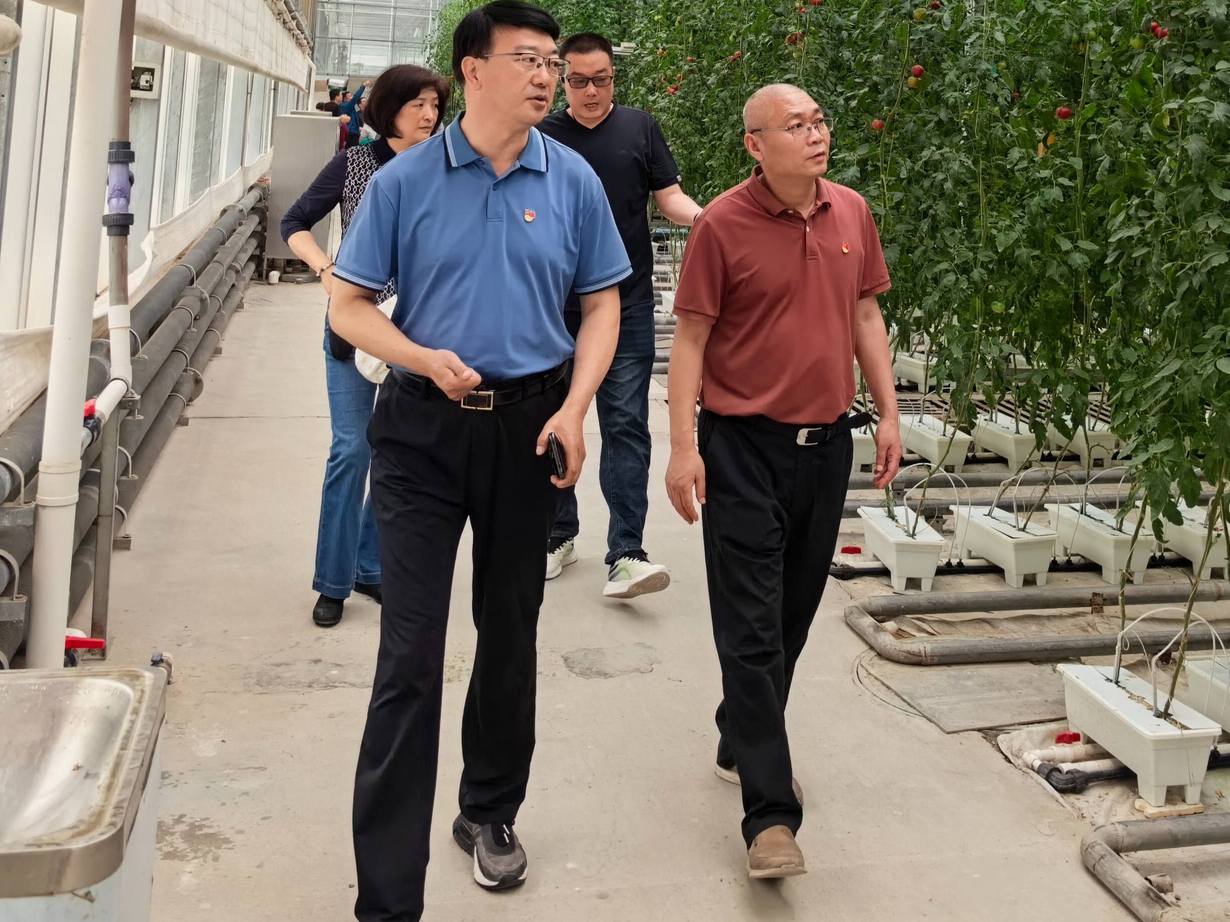 微信图片_20260604155144_917_317.jpg