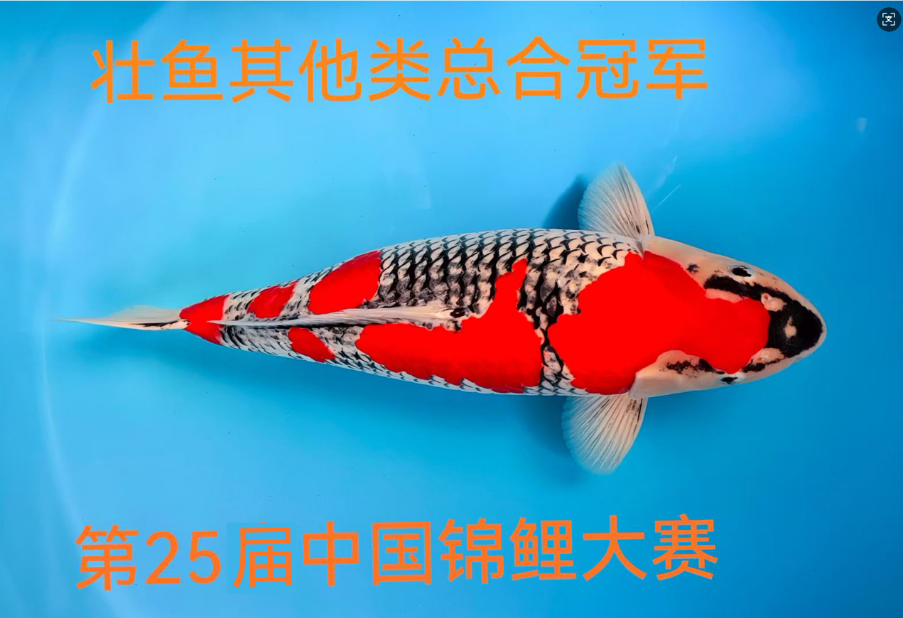 8297f933-9311-4c09-8a65-bddd8b64a548.png
