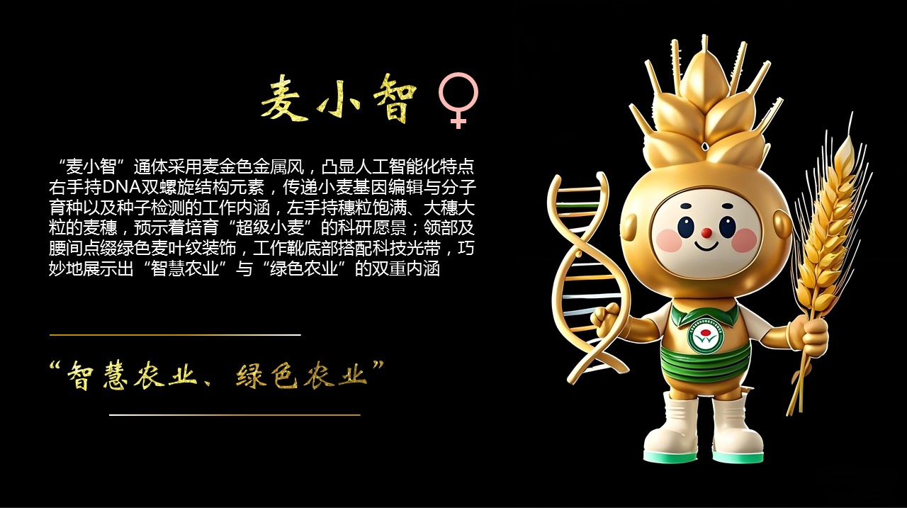 吉祥物介绍页-麦小智.jpg