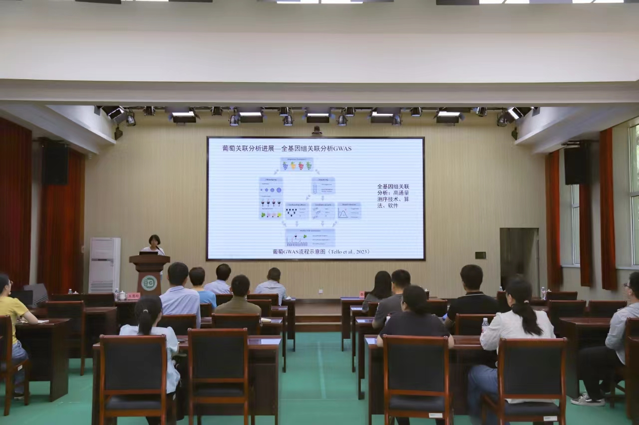 图片 2.png