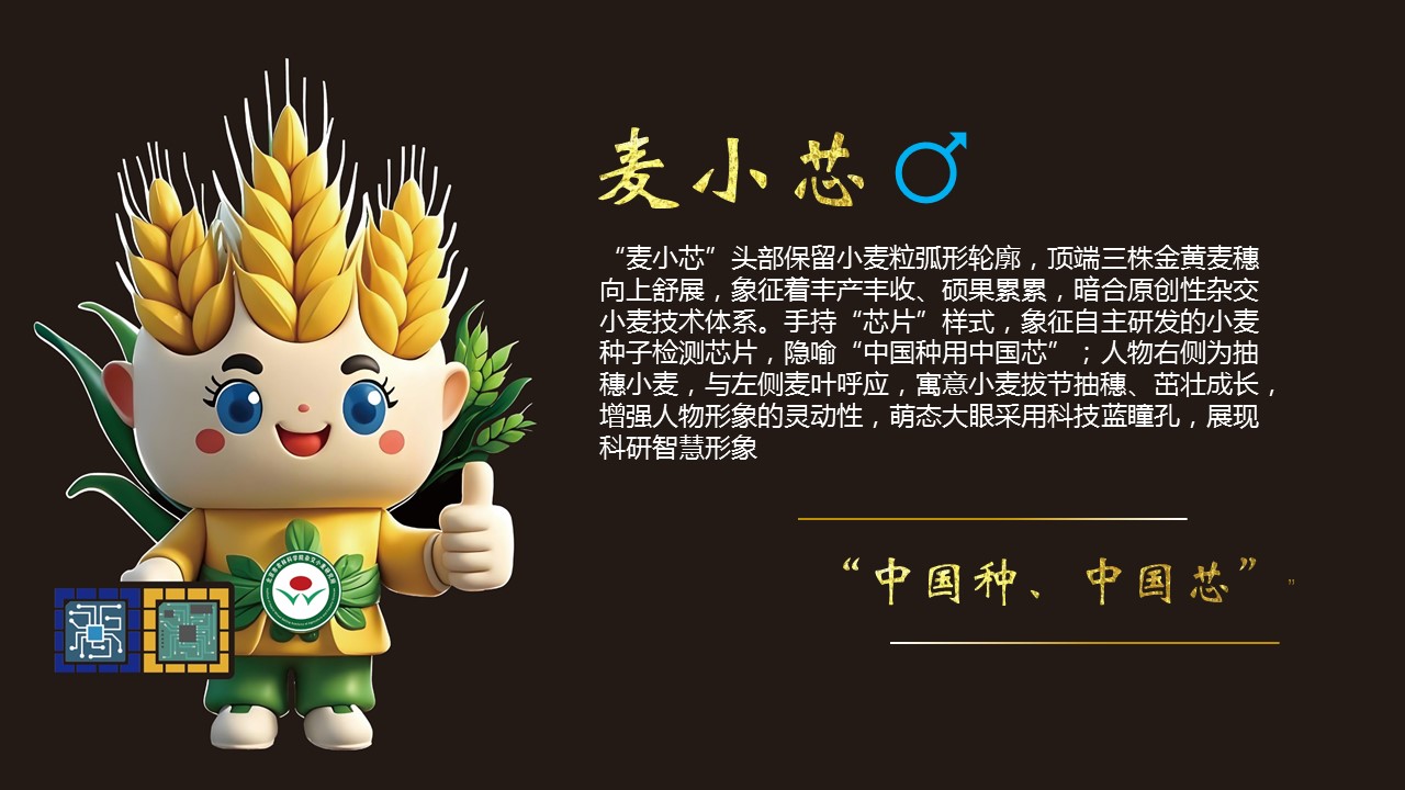 吉祥物介绍页-麦小芯.jpg