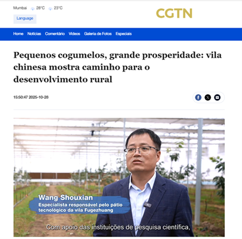 中国国际电视台（CGTN）西班牙语频道以《小蘑菇，大繁荣：中国村庄为乡村发展指明方向》为题，报道了我所通过科技小院技术帮扶模式推动通州区富各庄村食用菌产业发展的成功实践。.jpg