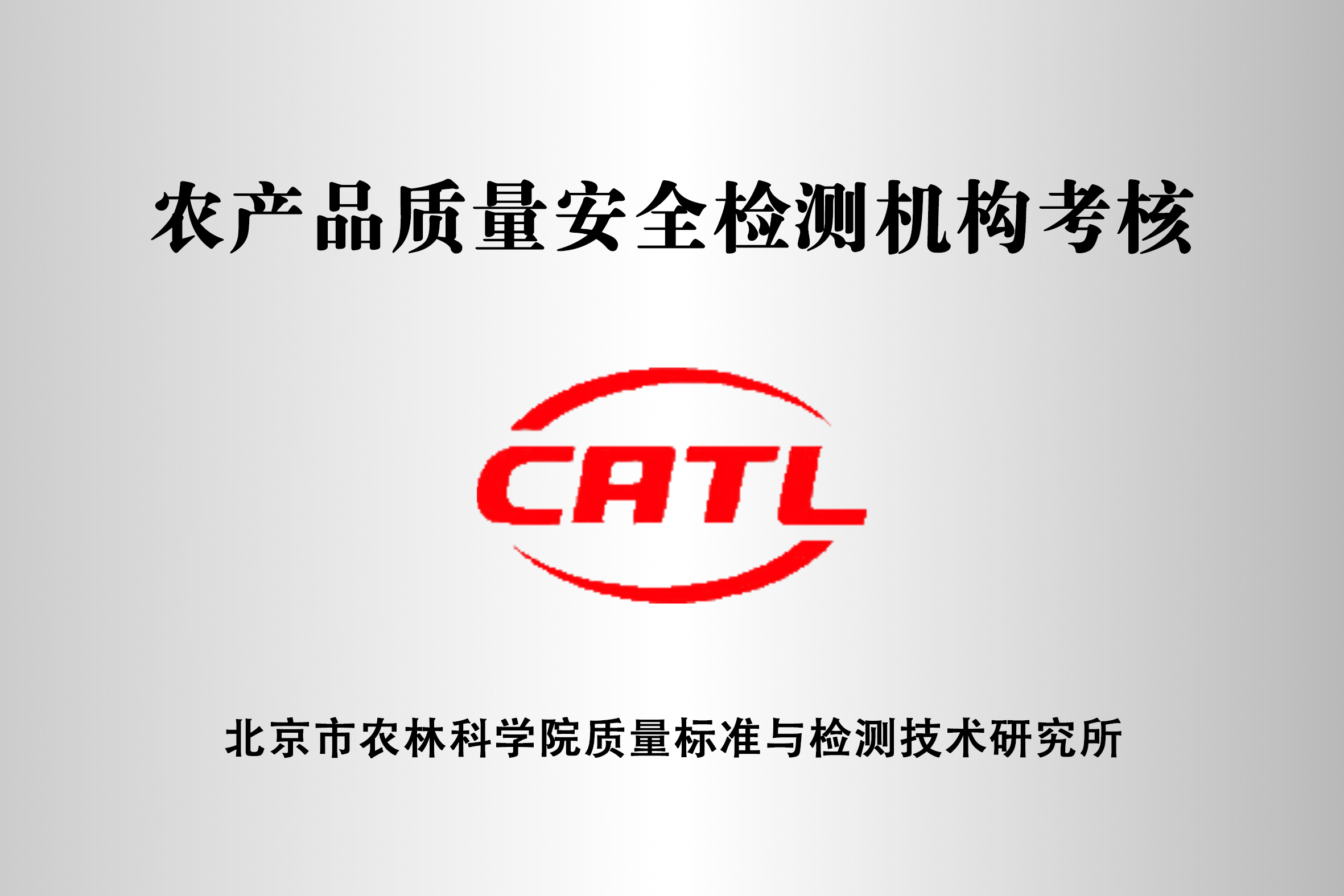 CATL.jpg