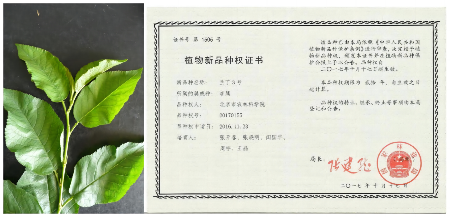 1676009163861539.png WPS拼图0.png