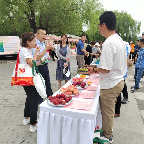 图片 4.png