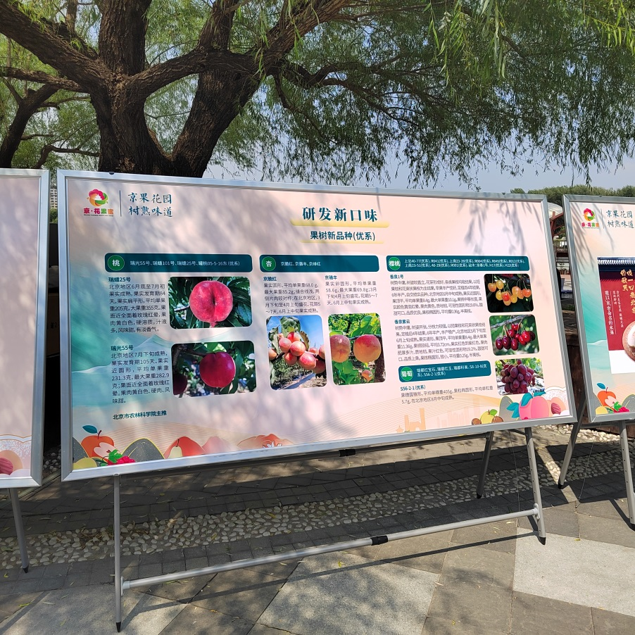 图片 1.png