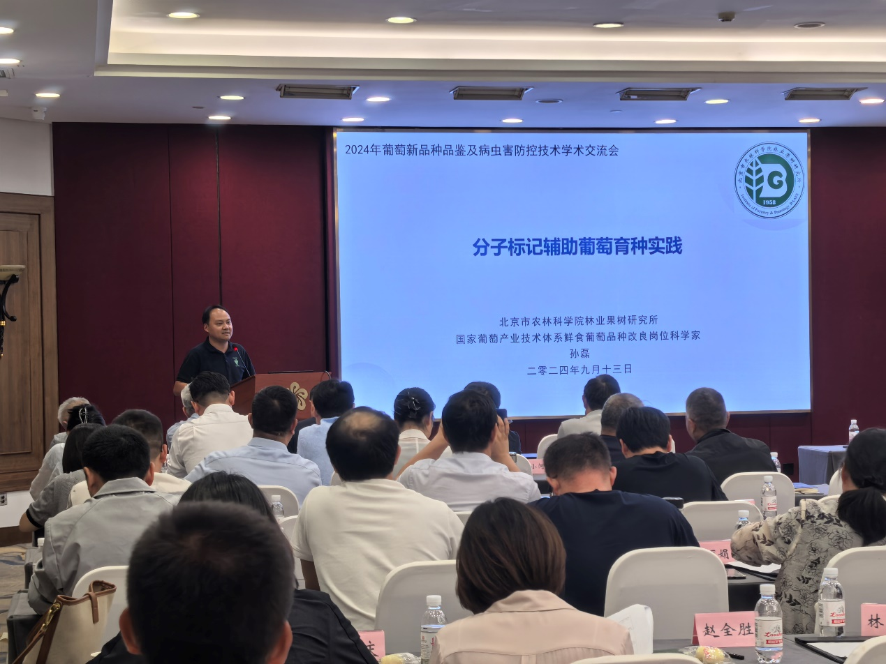 1726641555469722.png 图片 5.png