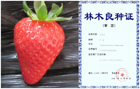 1676264498874494.png 京留香—拼.png
