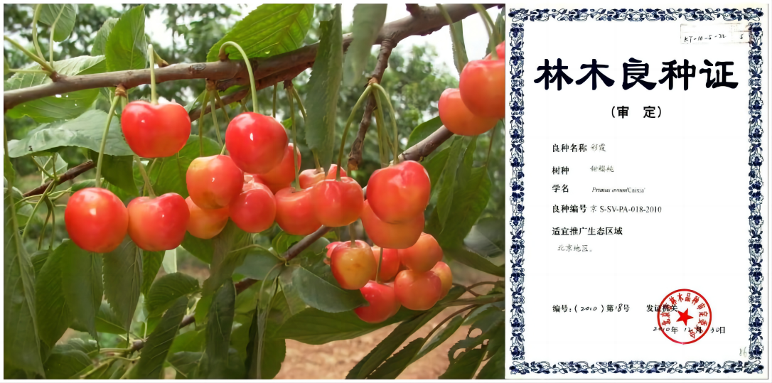 WPS拼图0.png
