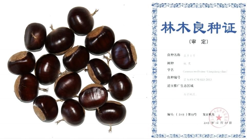 WPS拼图0.png