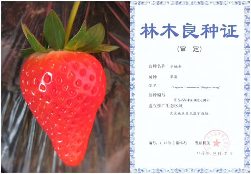 1676258907110957.png 京桃香—拼.png