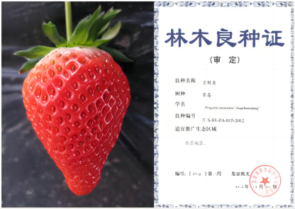1676269678114289.png 京醇香—拼.png