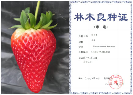 1676268858320436.png 京怡香—拼.png