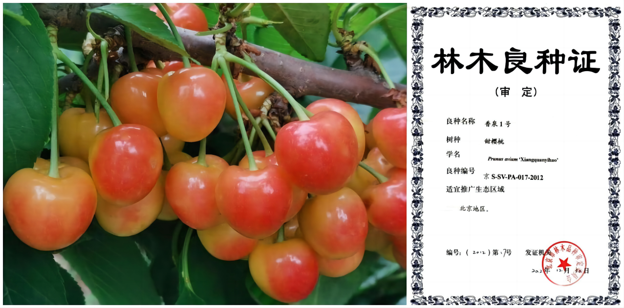 WPS拼图0.png