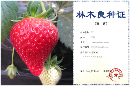 1676270465282177.png 书香—拼.png