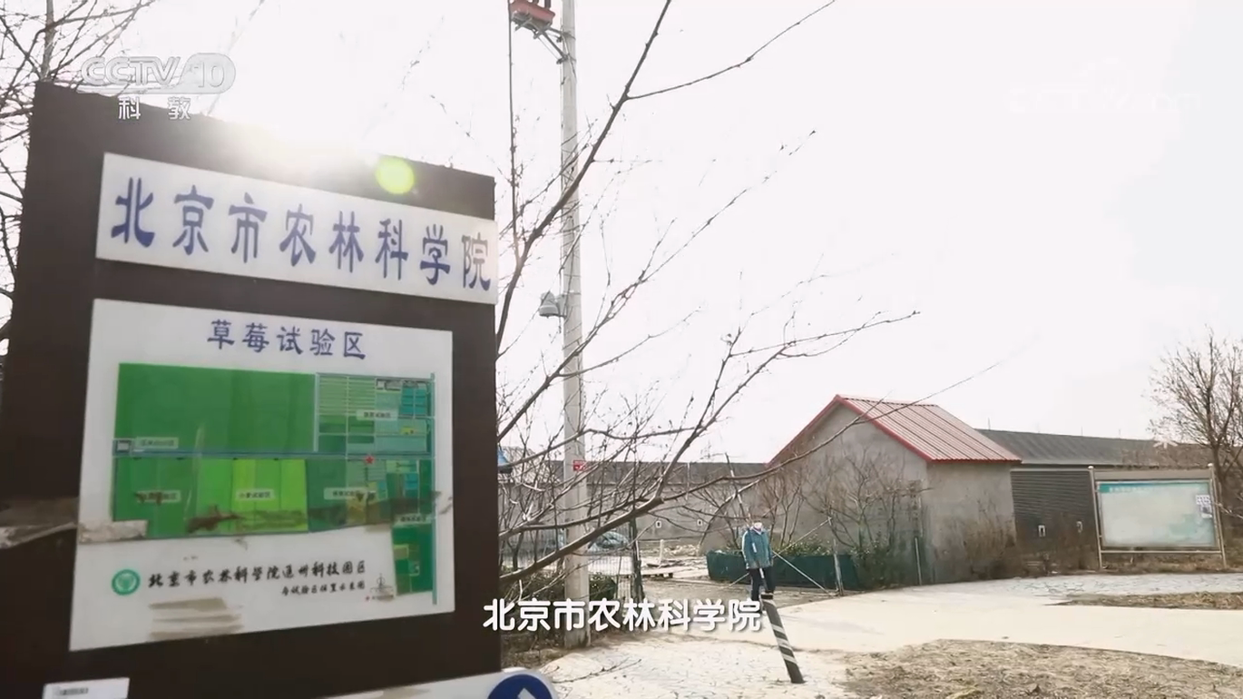 1673855476399393.png 图片 1.png