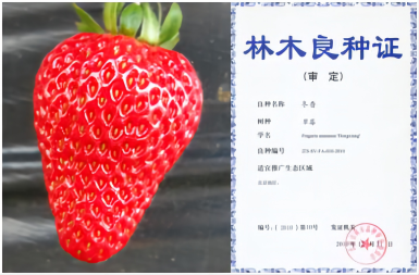 1676270313866192.png 冬香—拼.png