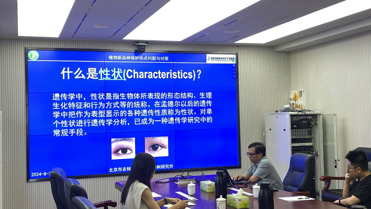 1725240319508156.png 图片 5.png