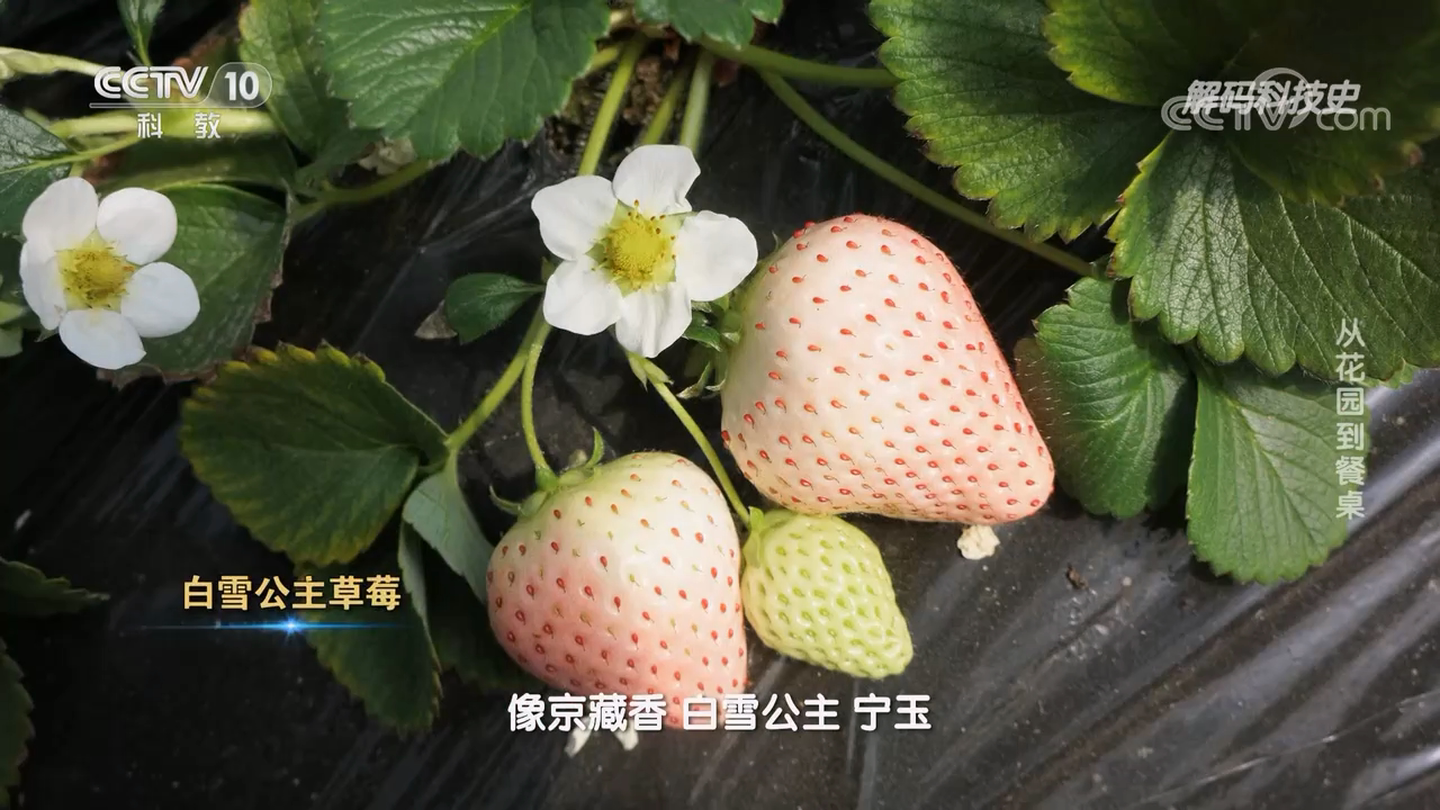 1673855513604093.png 图片 3.png