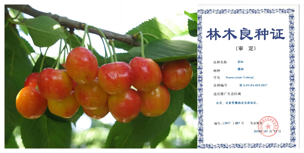 WPS拼图0.png