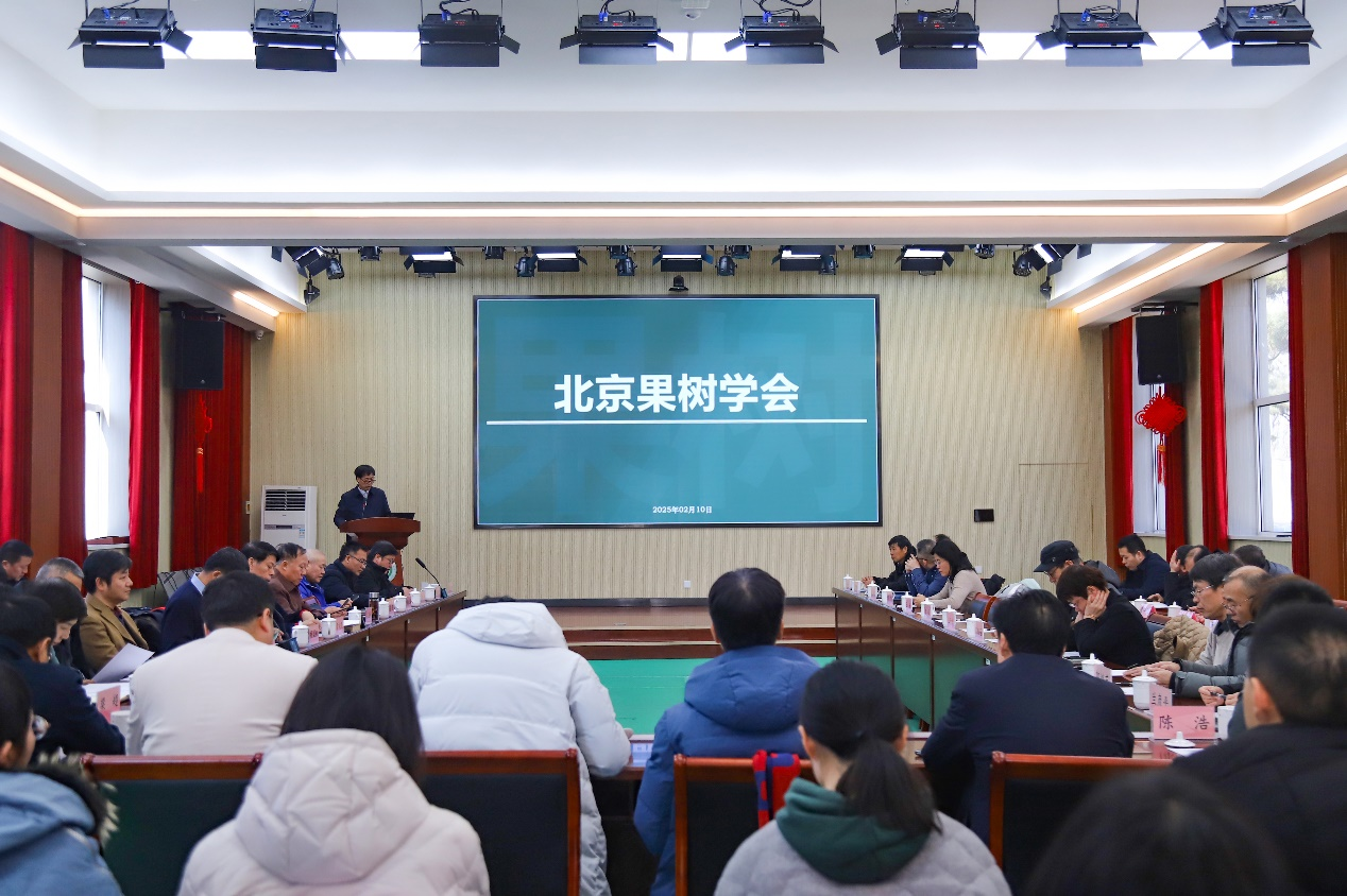 1739432199213062.png 图片 1.png