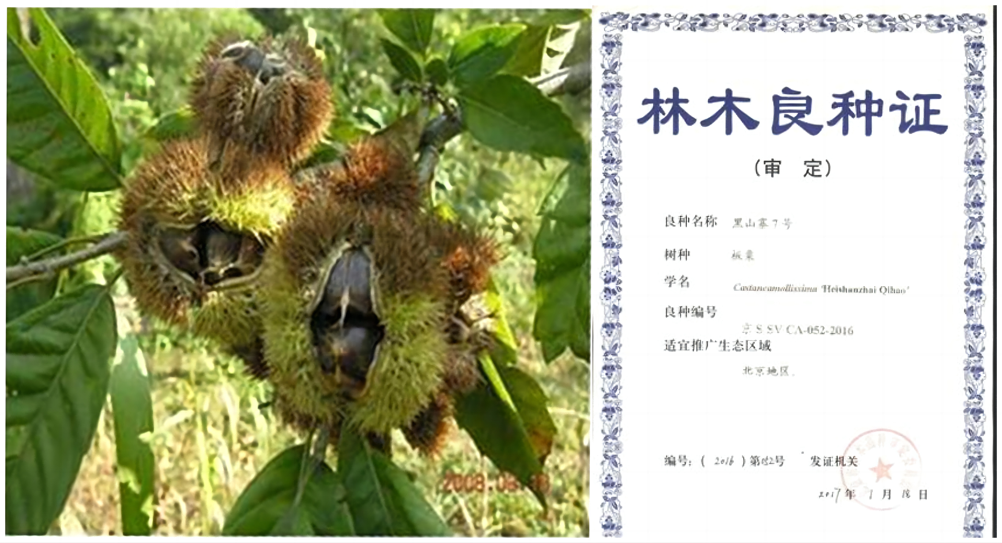 1676860085637384.png WPS拼图0(1).png