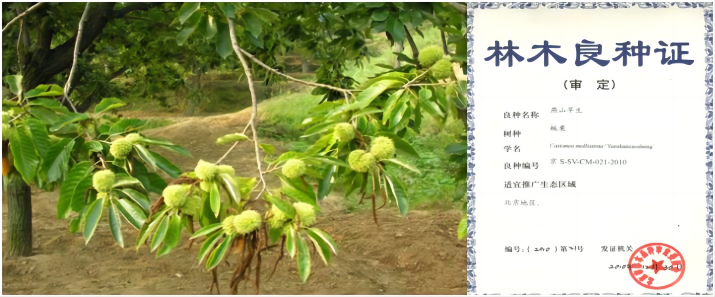 1676856029817446.png WPS拼图0.png
