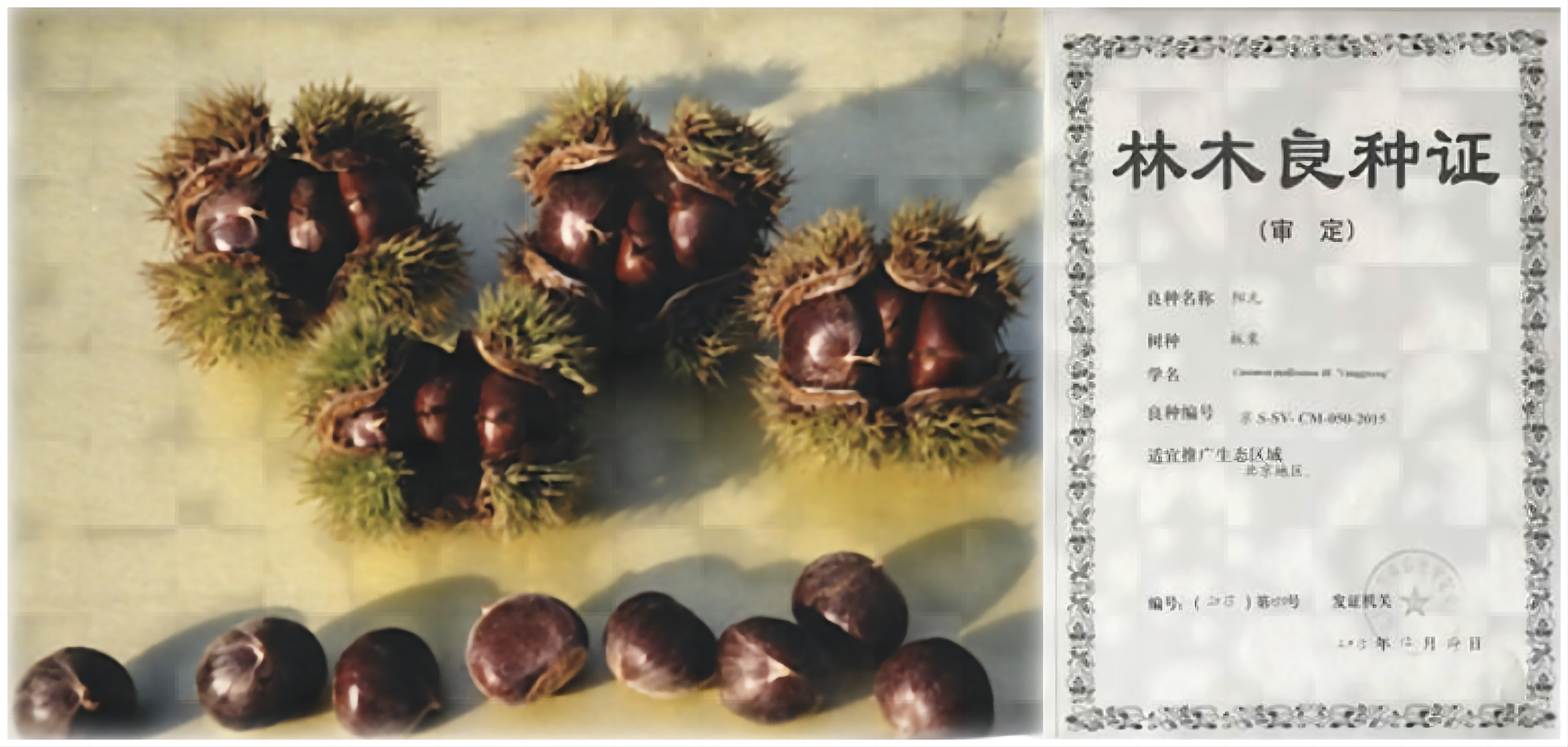 1676857989427159.png WPS拼图0(1).png
