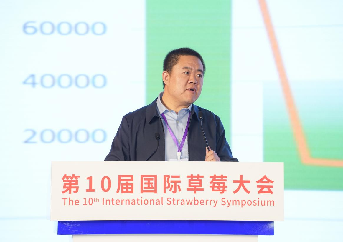 1742799155357990.png 图片 3.png