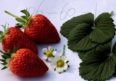 1659597942320315.png 图片6.png