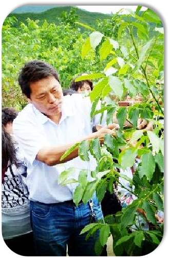 郝艳宾.png