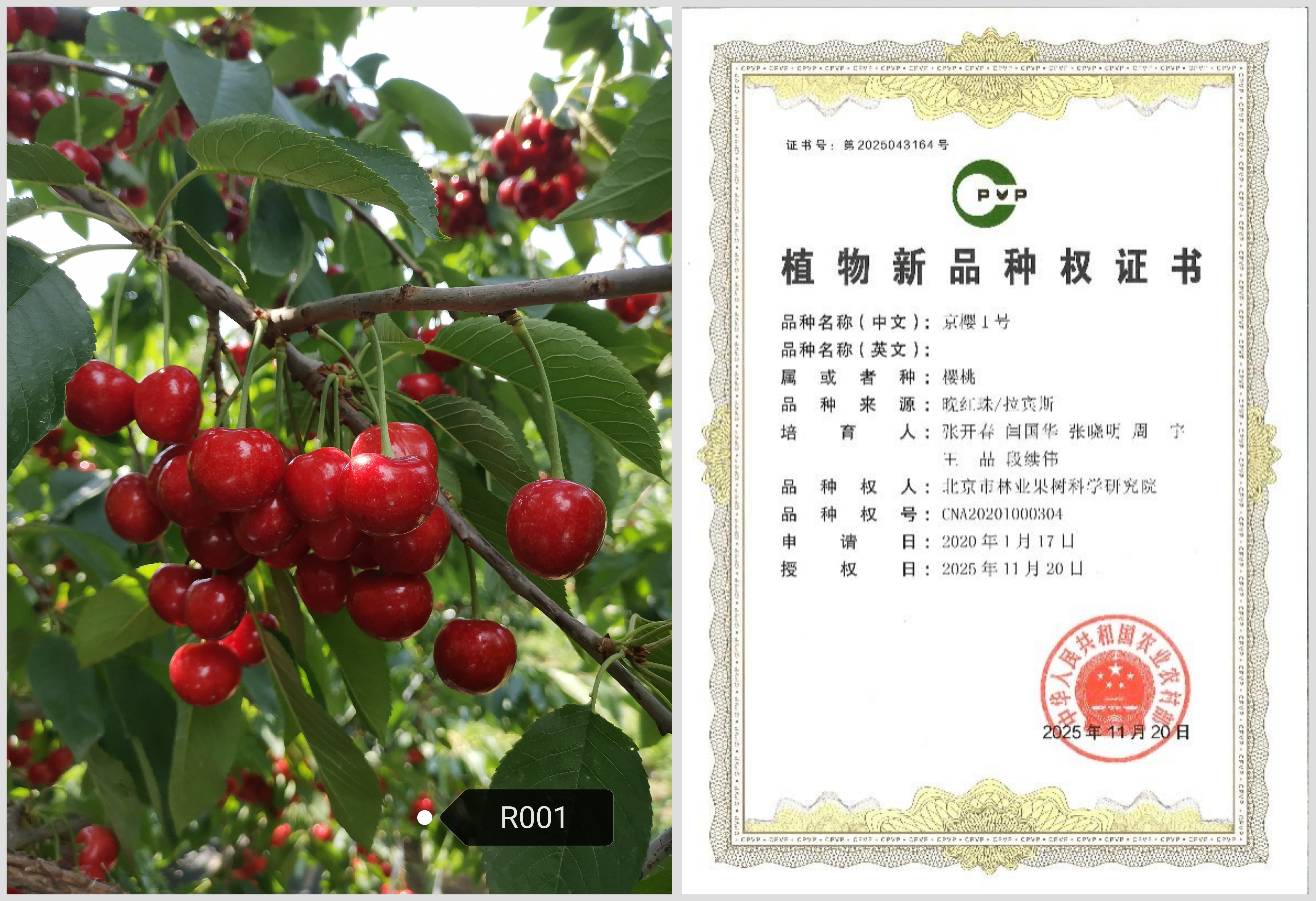 WPS拼图0(1).png