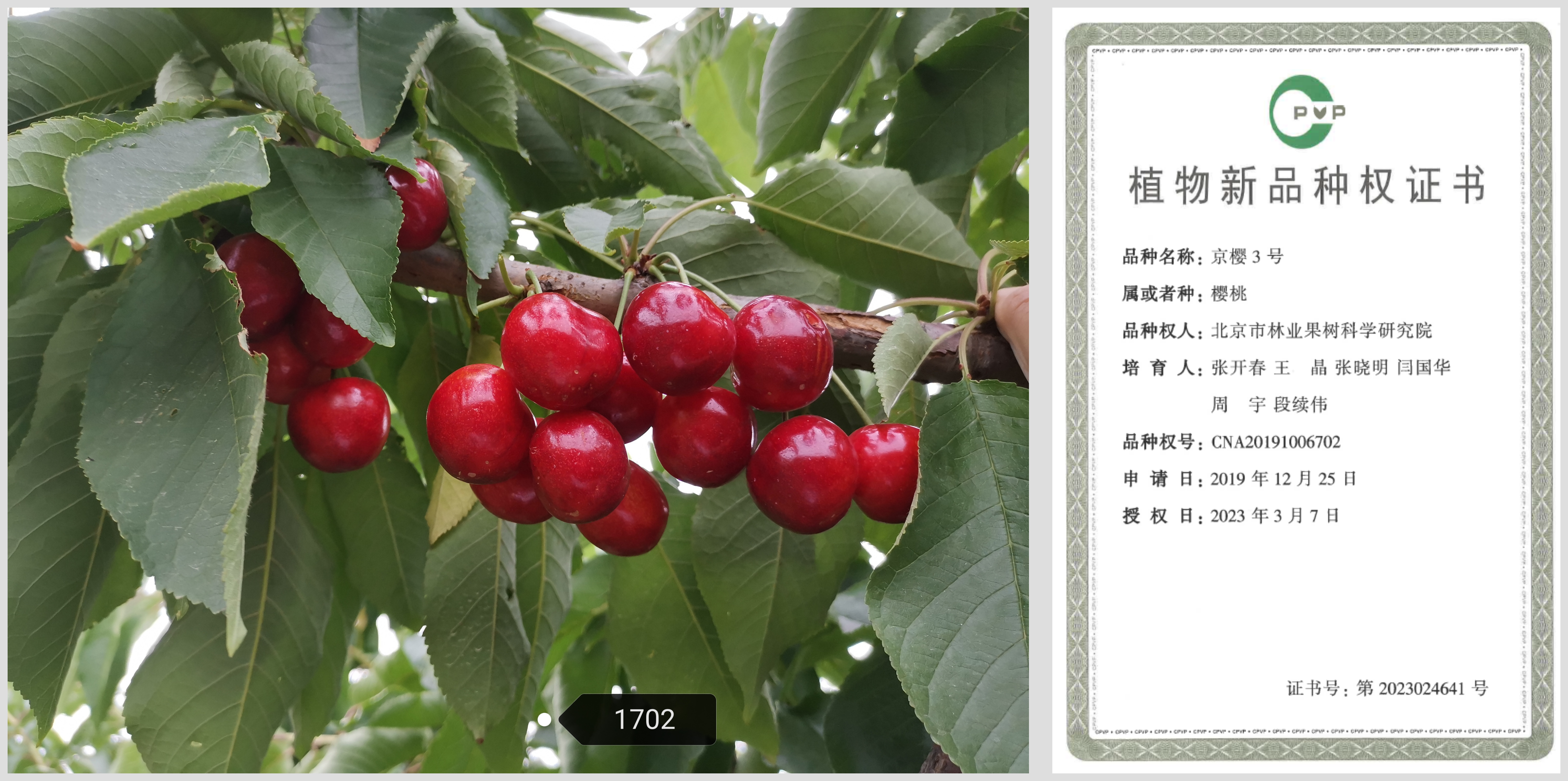 WPS拼图0(1).png