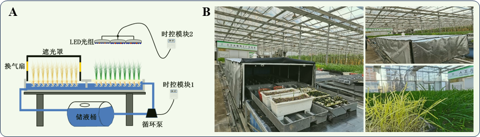 李宁文章3.png