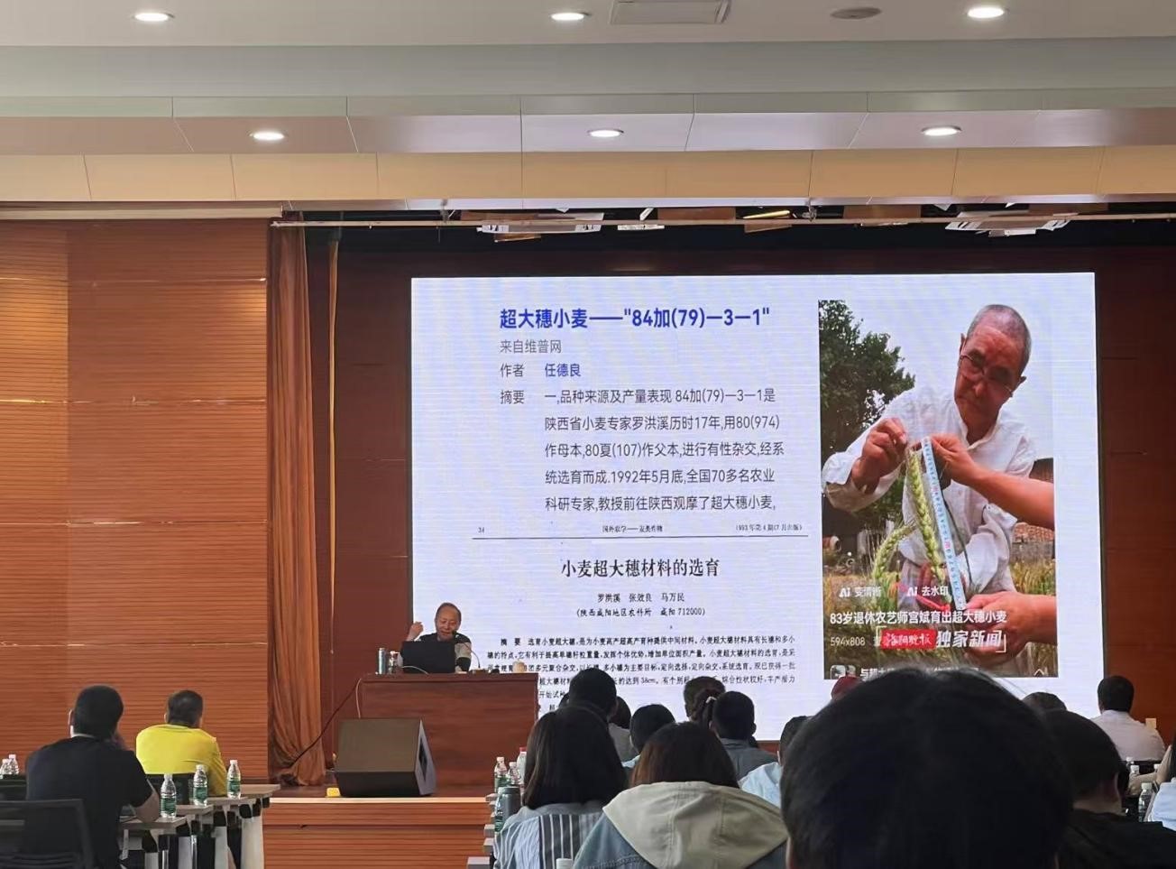 杨.jpg