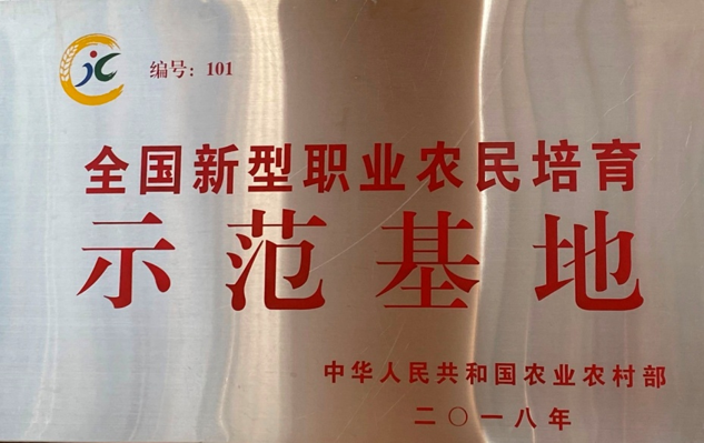 图片7.png