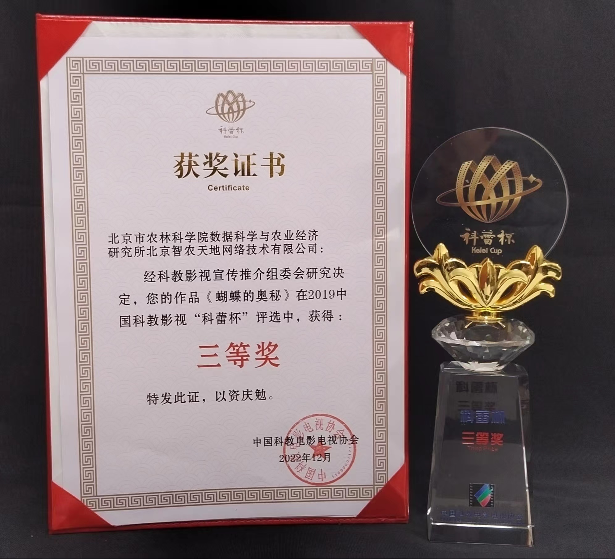 2022年“科蕾杯”三等奖《蝴蝶的奥秘》.jpg