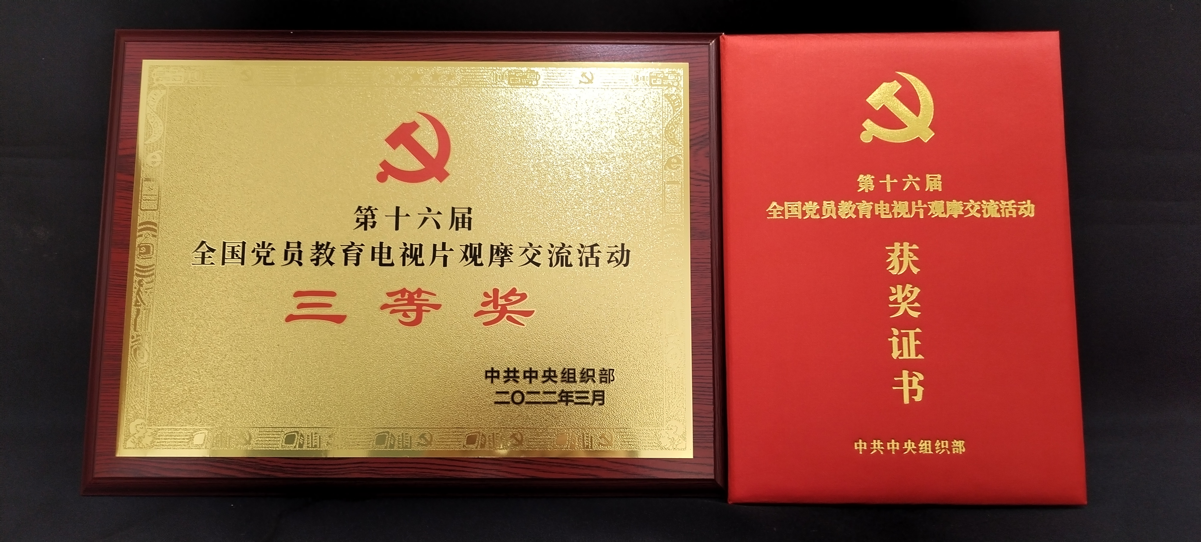 2022年第十六届全国党员教育电视片观摩交流活动三等奖《光荣在党50年》.jpg