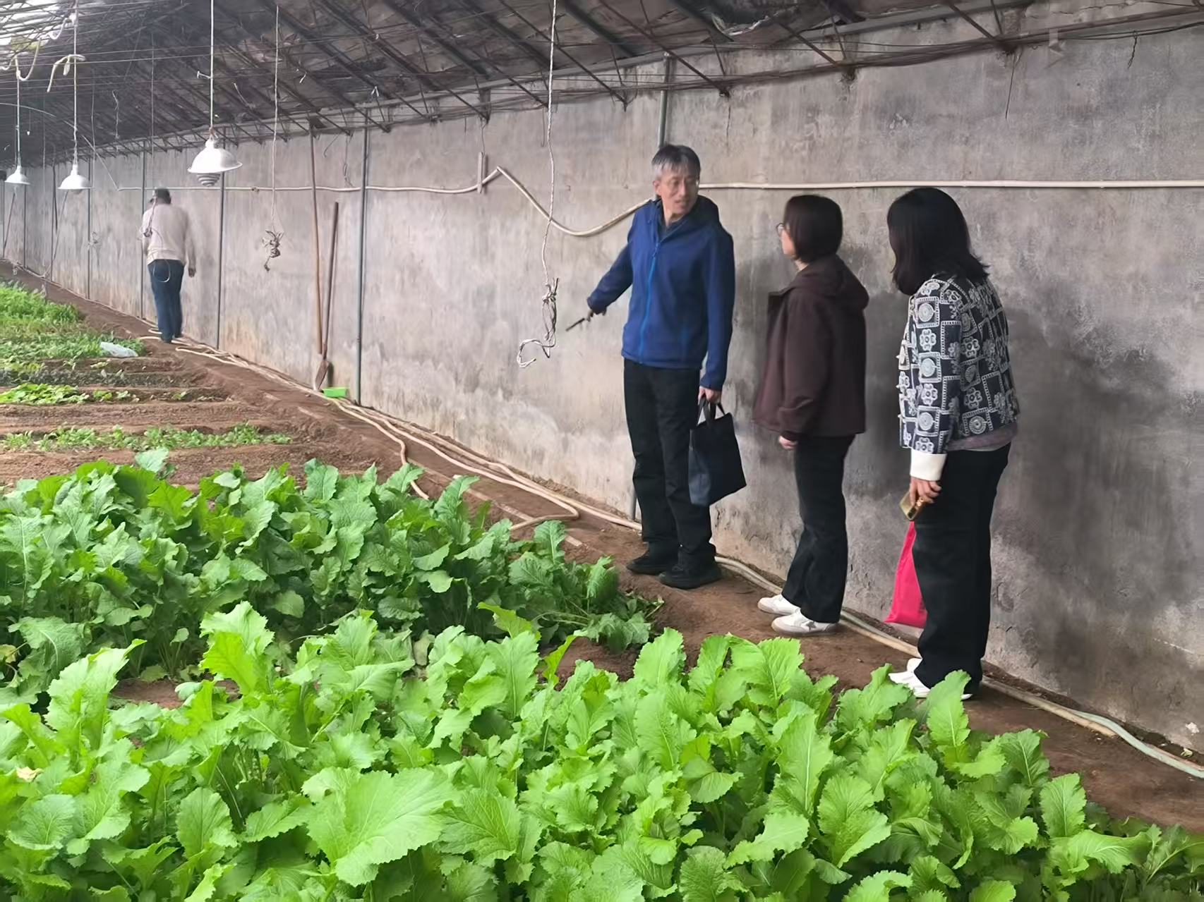 微信图片_20251020092651_17_136.jpg