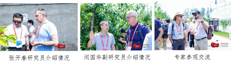 1684998944976829.png 图片3.png