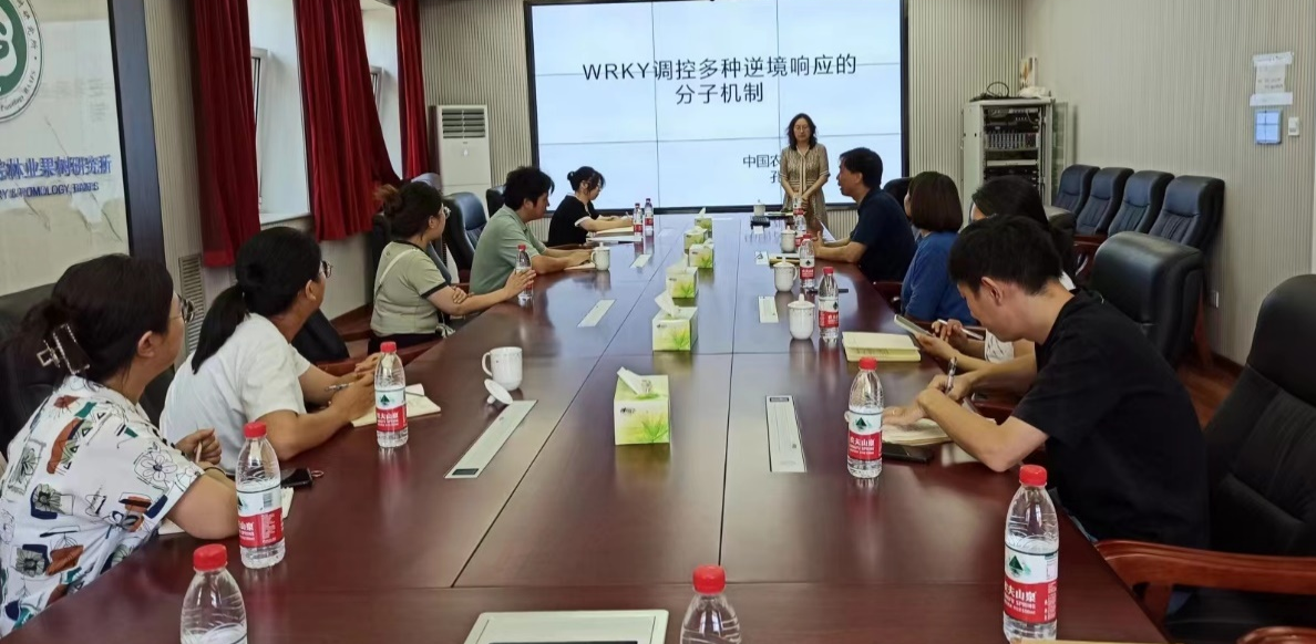 1688431427651459.png 图片1.png