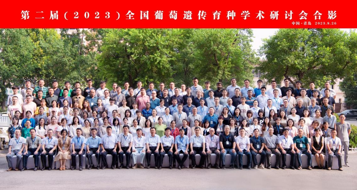 1693374285117231.png 葡萄2.png