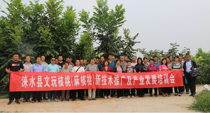 1706254846454999.png 图片3.png