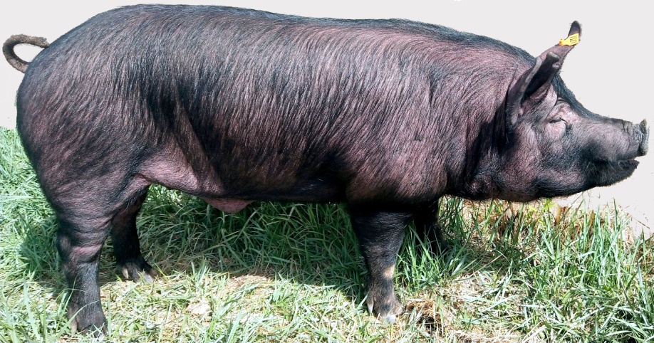 image001.jpg