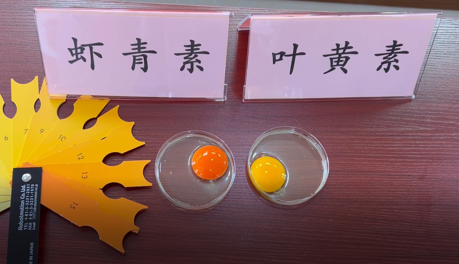 微信图片_202304181403061.jpg 微信图片_202304181403061.jpg