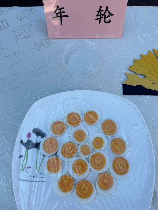 高技术研究室-崔一芳-我院畜牧所成功举办“蛋鸡关键养殖技术提升培训观摩会暨功能性鸡蛋宣介会”-2023.06.20-4.png
