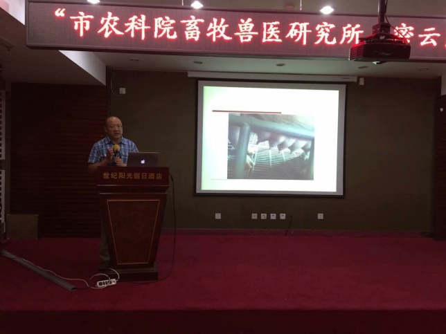 动物繁殖研究室-畜牧所举办郊区生猪疾病防控与繁殖技术培训会-2016.06.29.jpg