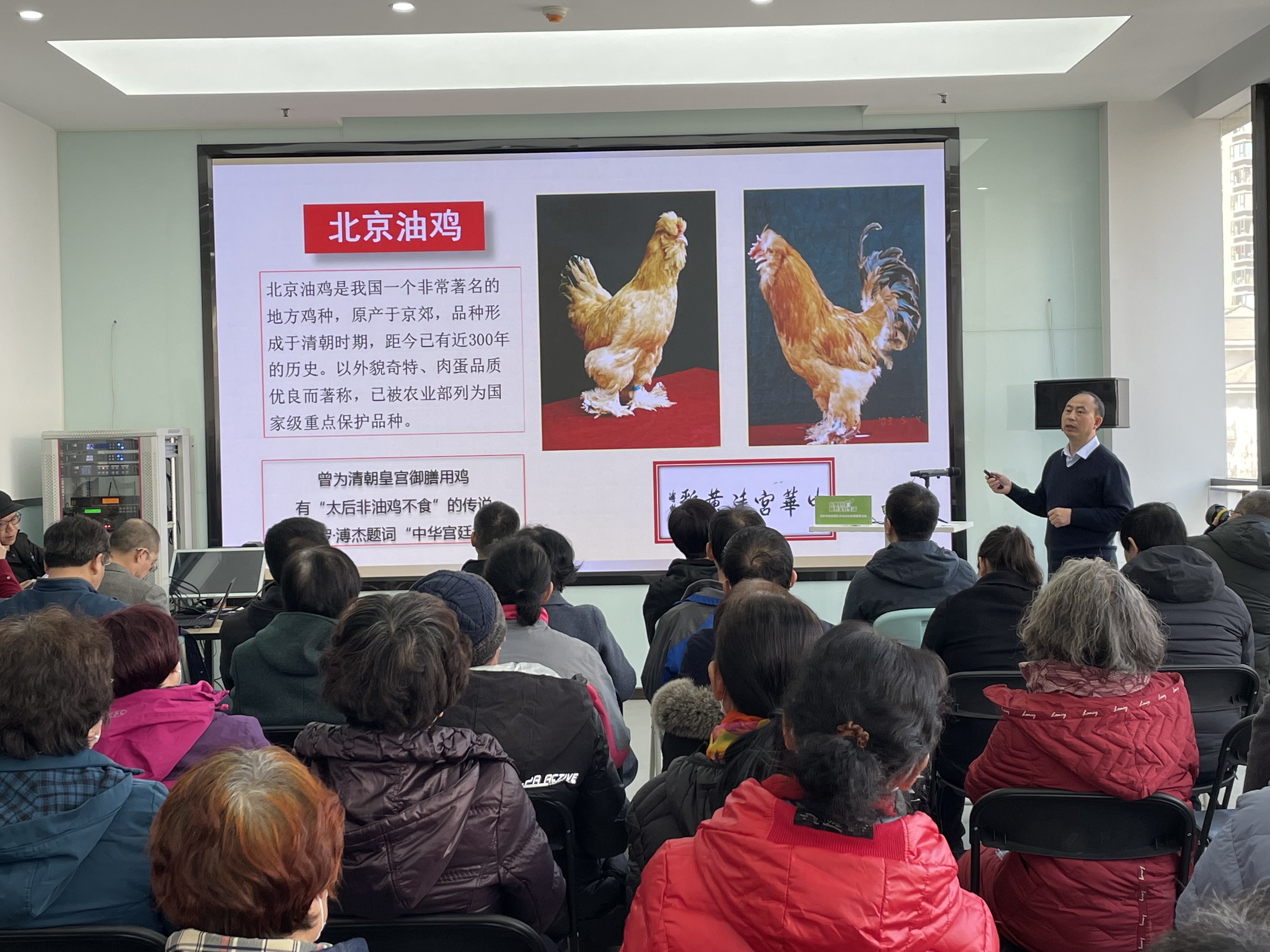 油鸡中心-耿爱莲-我院畜牧所专家参加市农业农村局组织的科技成果路演活动-2023.03.06-2.jpg
