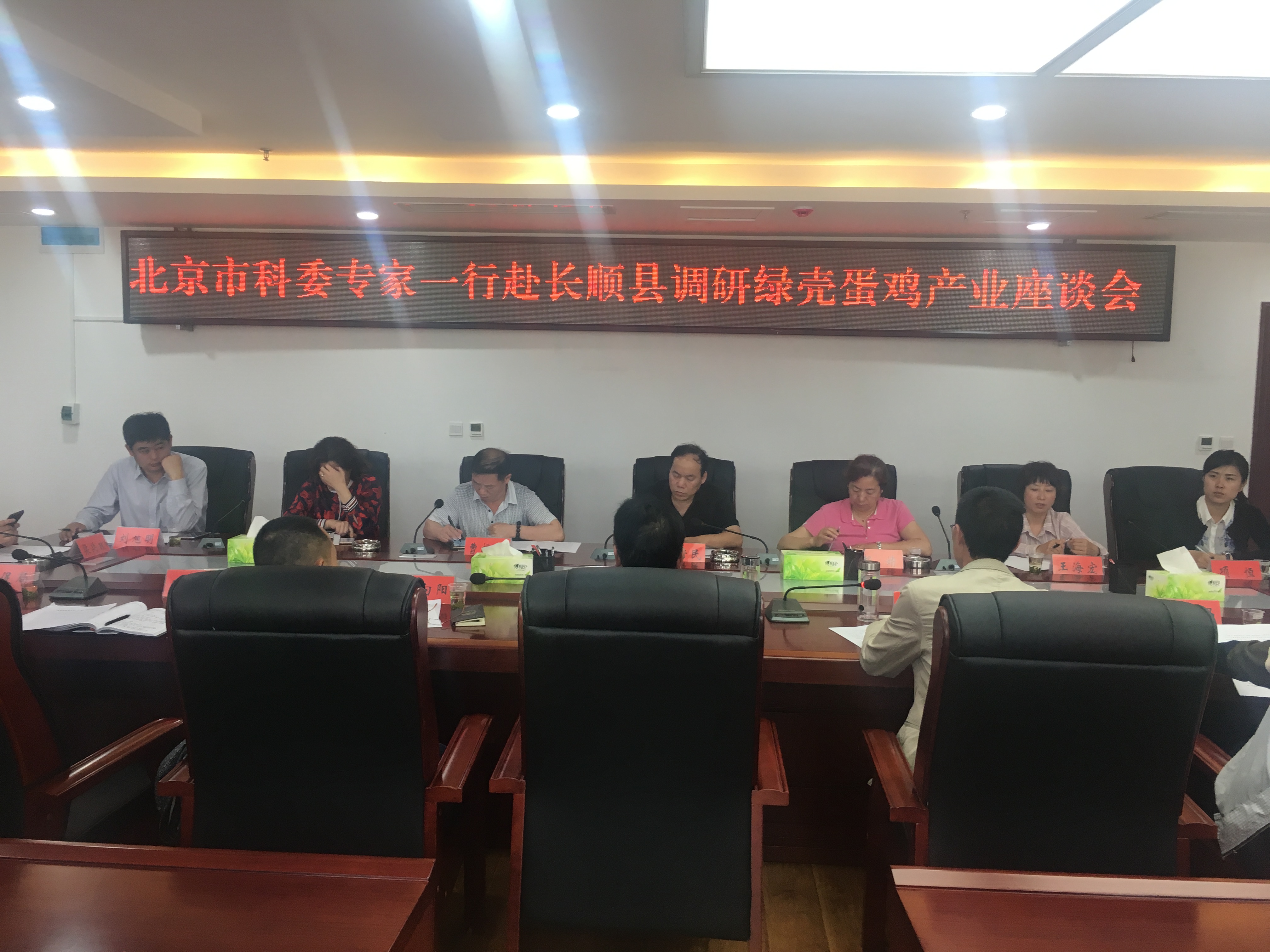 油鸡中心-王海宏-畜牧所油鸡专家赴贵阳长顺县指导绿壳蛋鸡养殖-2017.05.15.jpg